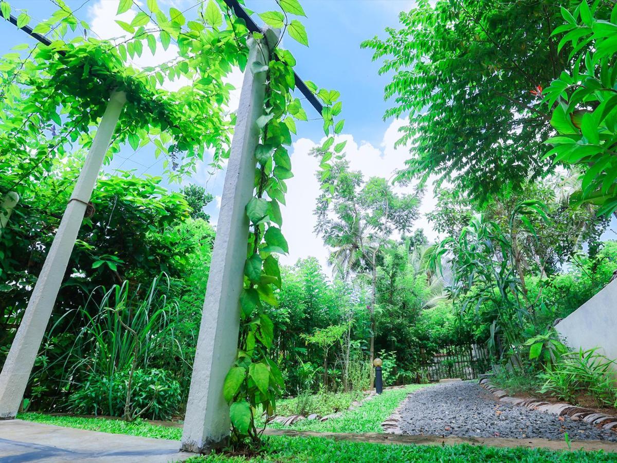 Terrace Garden Ayurveda Resort Weligama Exteriör bild