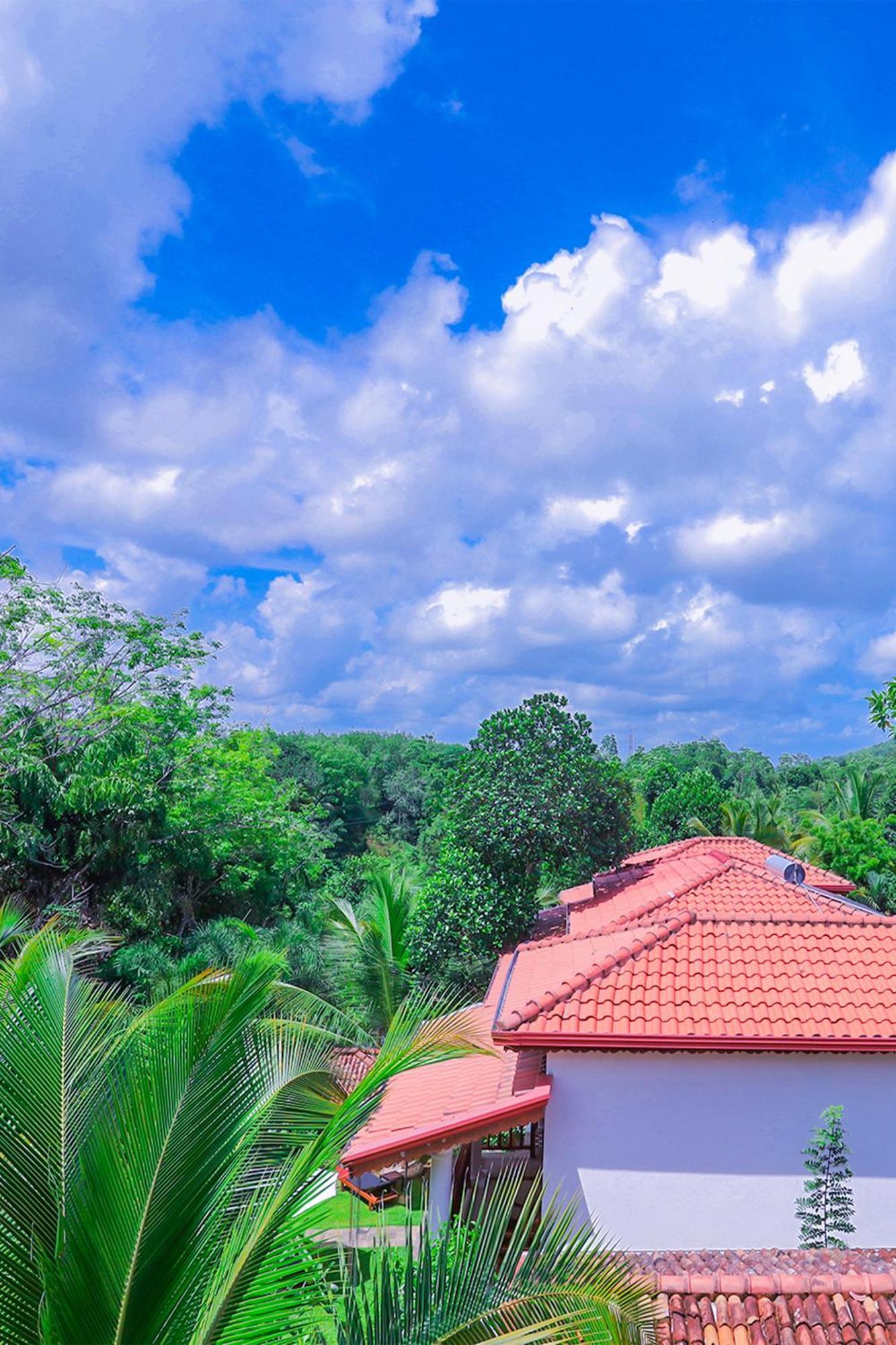 Terrace Garden Ayurveda Resort Weligama Exteriör bild